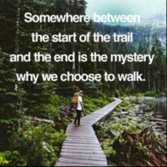 ⚜️ FRENCH PROVENCIAL Country Napkins GORGEOUS SET of 4 PRELOVED VNVC - Picture 14 of 16